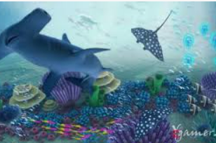 od体育在线免费版